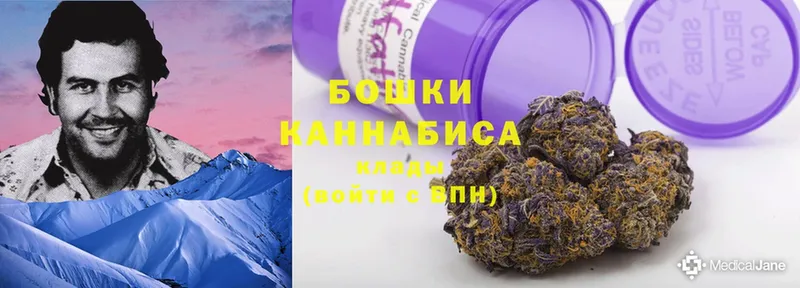 где найти наркотики  Приморско-Ахтарск  Канабис OG Kush 